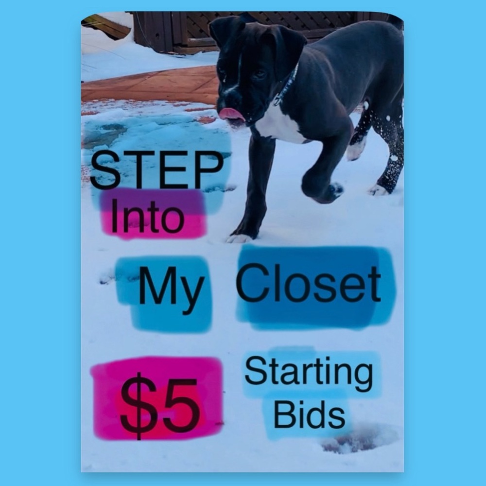 $5 Dollar GREAT DEALS  Silent Auction